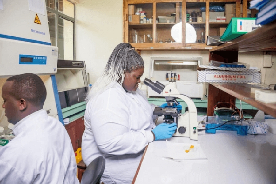 Le paludisme est un problème africain et l'Afrique doit trouver la solution