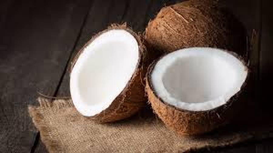 Diversification économique : la Côte d’Ivoire entend relancer la filière de la noix de coco