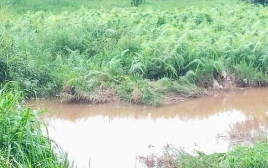 Côte d&#039;Ivoire/Sikensi: un écolier meurt par noyade dans une rivière