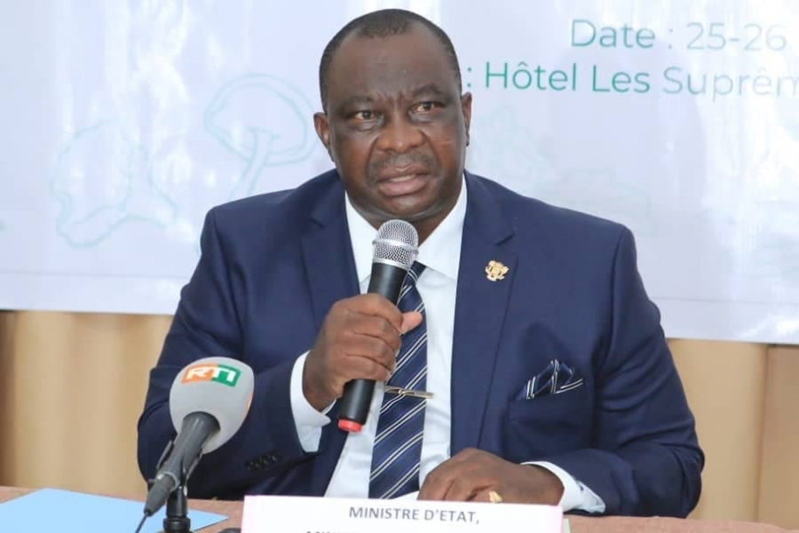 Côte d’Ivoire : 25,3 milliards FCFA dégagés pour soutenir la campagne cotonnière de 2025 à 2026