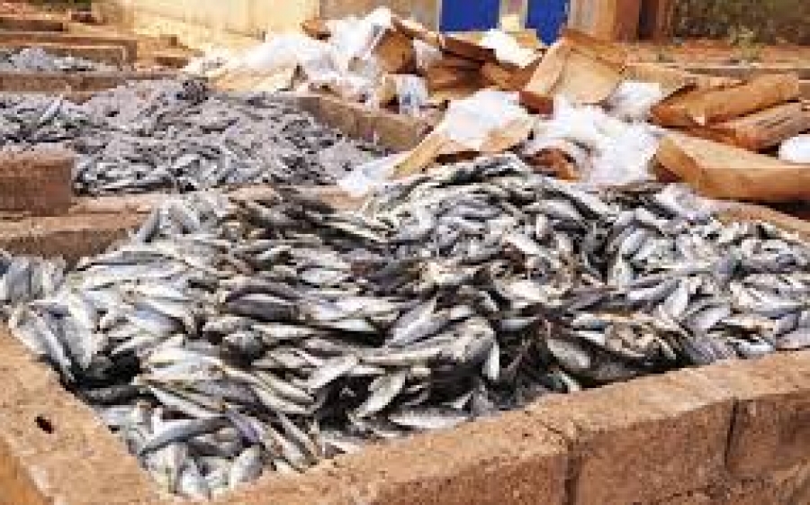 Burkina Faso: plus de 14 tonnes de poissons avariés saisies détruites