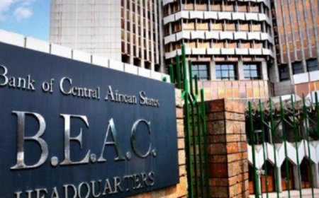 La Chambre africaine de l'énergie appelle la Banque des États d’Afrique Centrale à assouplir son Règlement sur les changes