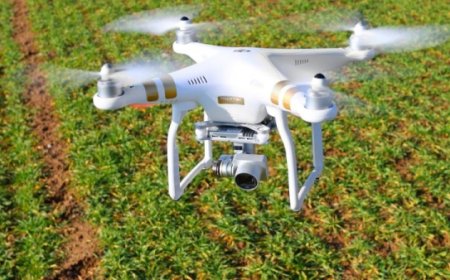 Les candidatures pour le programme « GreenAPI Smart Agriculture » sont désormais ouvertes