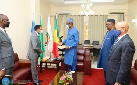 Mali: fin de mission pour la représentation de la CEDEAO