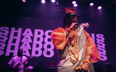 Côte d’Ivoire/Shado Chris: l'artiste sort « Djeria », son premier album de 16 titres