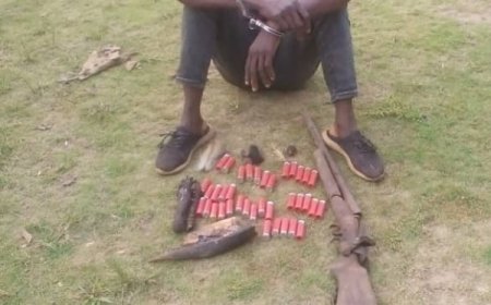 Soubré : En fuite depuis mars, un présumé trafiquant de peaux de panthère interpellé avec une arme et des munitions