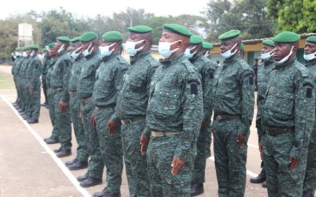 Côte d’Ivoire: Fin de stage de formation des agents techniques des Eaux et forêts à Bouaflé