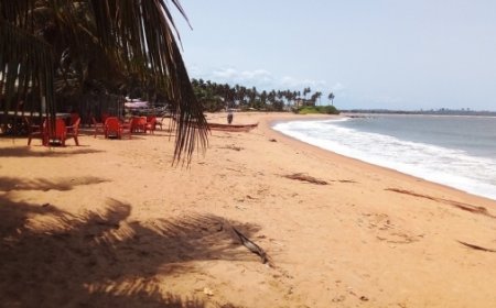 La gestion intégrée du littoral ivoirien, une préoccupation du gouvernement