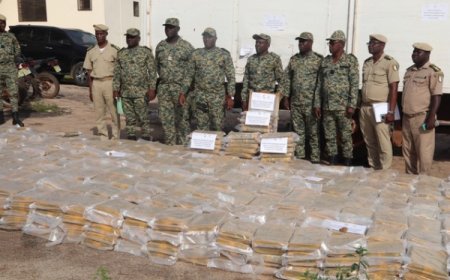 Saisie de 2,8 tonnes de cannabis à la frontière ivoiro-ghanéenne