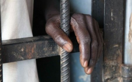 Un homme condamné à 12 mois de prison ferme pour détention de cannabis à Tiassalé