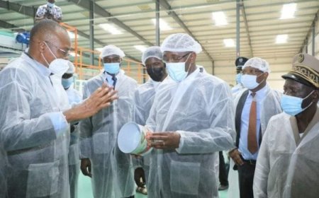 Secteur industriel : une unité de transformation de fruits et légumes inaugurée à N’Douci