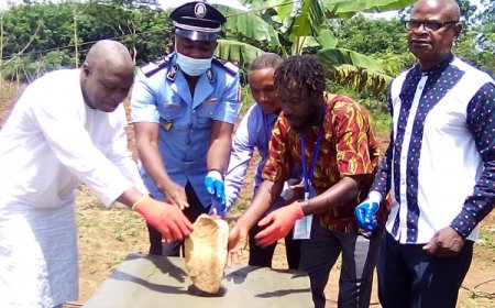 Ouragahio : 2,5 milliards pour la construction d'un orphelinat