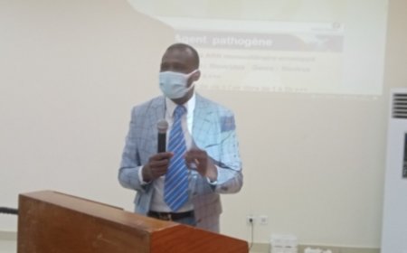 Lutte contre Ebola: le comité départemental de lutte contre les épidémies de Bouaflé réactivé