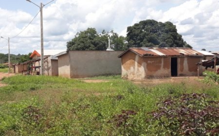 Côte d’Ivoire: Vives tensions autour de la délimitation des territoires villageois à Niakara et Arikokaha l