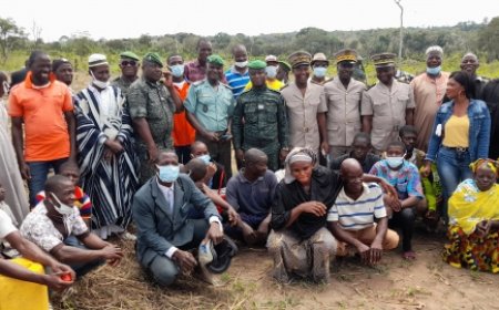 Journée nationale de la paix  à Touba: L’arbre au cœur de la célébration