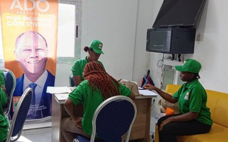 Côte d’Ivoire-Présidentielle 2025 : le RHDP met en place un call center e-militant
