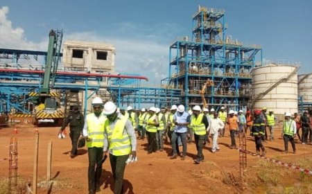 Côte d’Ivoire : une usine de transformation du sucre en alcool extra neutre (AEN) en construction à Badikaha