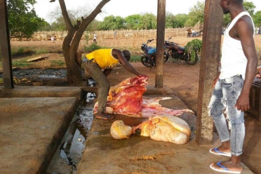 Côte d’Ivoire : Voici les conditions d'hygiène à l'abattoir de Doropo
