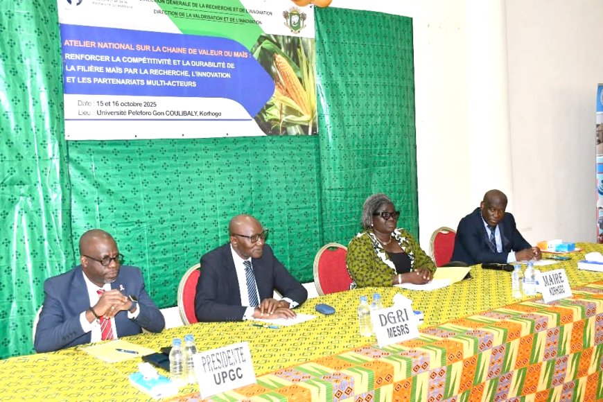 Côte d'Ivoire-Recherche scientifique : le gouvernement mise sur la recherche et l'innovation pour relancer la filière maïs