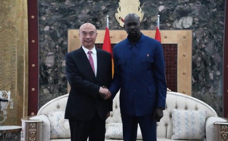 La Chine prête à approfondir sa coopération mutuellement bénéfique avec la Guinée (vice-Premier ministre chinois)