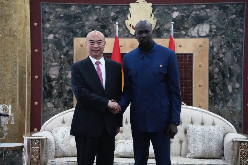 La Chine prête à approfondir sa coopération mutuellement bénéfique avec la Guinée (vice-Premier ministre chinois)