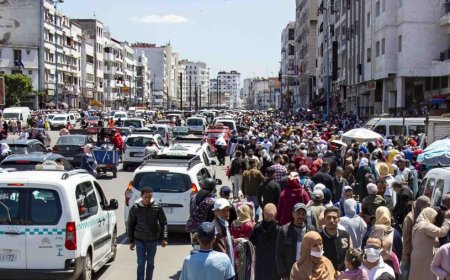 CAN Maroc 2025 : les supporters(trices) doivent parler le darija, le français, l'espagnol et/ou l'anglais