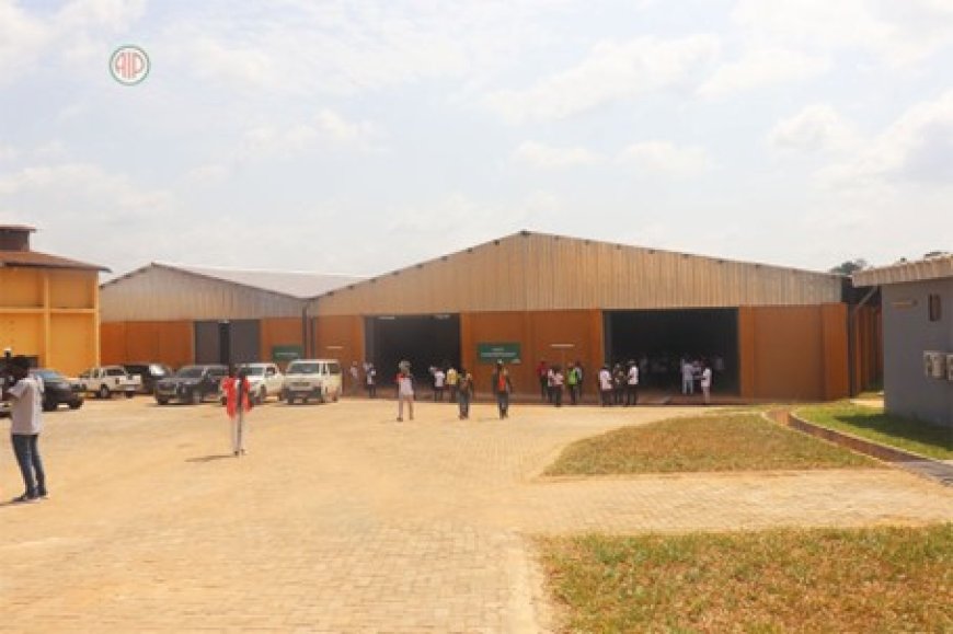 Côte d’Ivoire : inauguration d’un centre capable de produire 3 000 tonnes de semences par an à Man