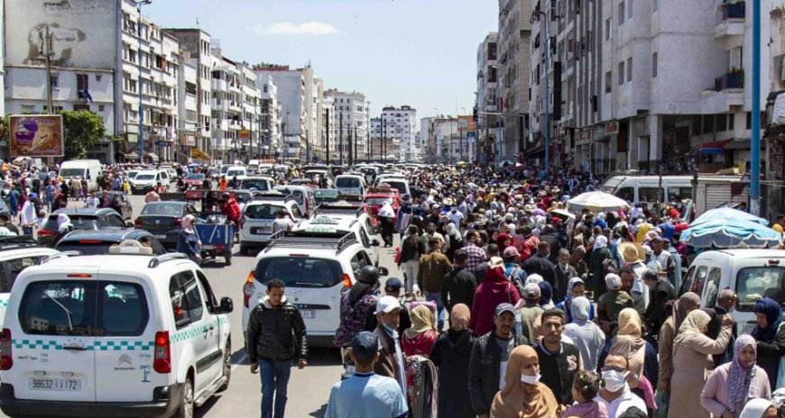 CAN Maroc 2025 : les supporters(trices) doivent parler le darija, le français, l'espagnol et/ou l'anglais