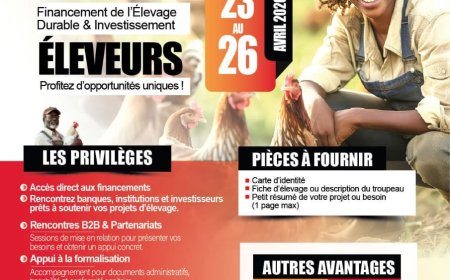 Côte d’Ivoire : le Festival Choukouya Géant d’Abidjan, bien plus qu’un événement gastronomique