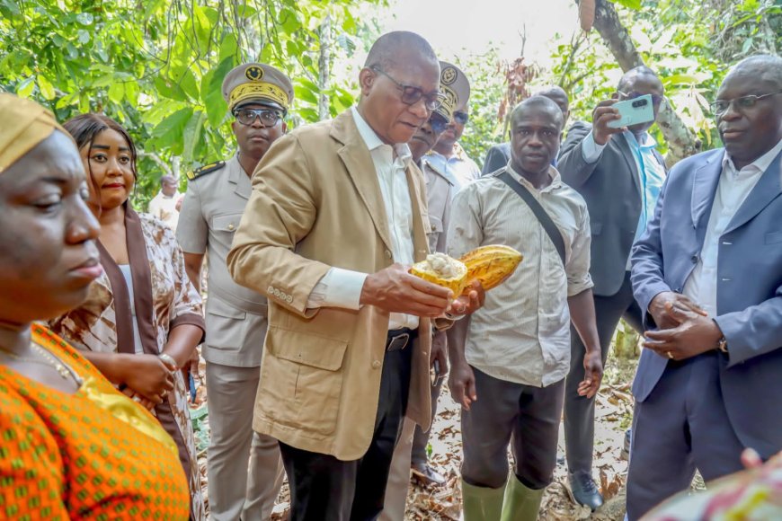 Côte d'Ivoire : Bruno Nabagné Koné face aux urgences des producteurs de Café-Cacao de la région d’Adzopé
