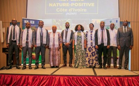 La Côte d’Ivoire lance son programme Net-Zero Nature-Positive