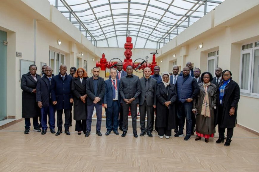 Souveraineté énergétique : la Côte d’Ivoire s’inspire du modèle algérien