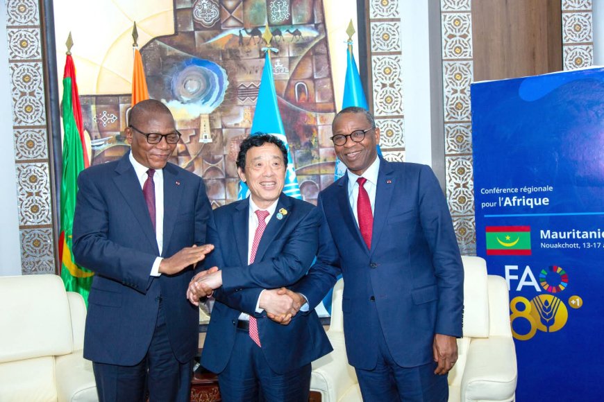 Côte d'Ivoire : Adama Kamara plaide pour une meilleure intégration de la protection sociale dans les politiques agricoles