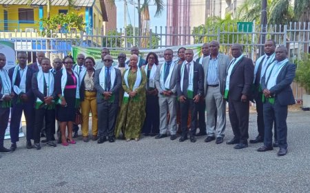 Côte d’Ivoire :  un plan de 8,2 milliards FCFA pour éliminer les polluants organiques persistants adopté