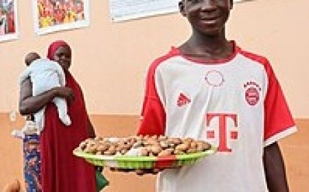 Côte d’Ivoire-Vente de Petit cola : un business en plein essor à Abidjan