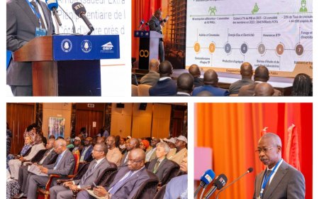 Forum Économique Sectoriel du BTP à Conakry : la Côte d'Ivoire et la Guinée renforcent leur coopération économique bilatérale