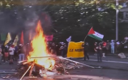 Genève : des partisans du Front Polisario étaient-ils à une manifestation propalestinien ?