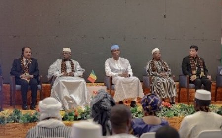 Mali-Inde : un forum économique ouvre la voie à la coopération scientifique et technologique