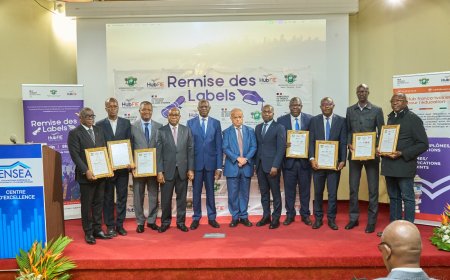 Côte d’Ivoire-Enseignement supérieur : 20 parcours de formation proposés par sept établissements pour la labellisation du HubFIE
