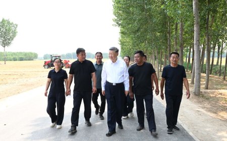 Chine : les autorités appellent à des mesures solides pour moderniser l'agriculture et les zones rurales