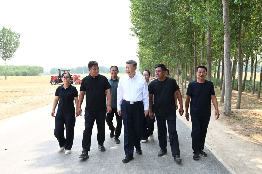 Chine : les autorités appellent à des mesures solides pour moderniser l'agriculture et les zones rurales