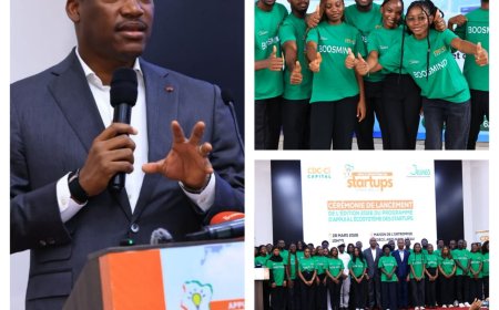CDC-CI Capital et l'Agence Emploi Jeunes accompagnent cent cinquante startups ivoiriennes vers les marchés internationaux