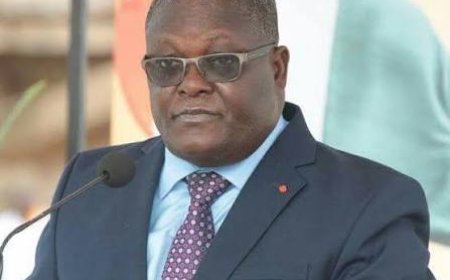 Côte d'Ivoire : Brou Aka Pascal nommé PCA de la HACA