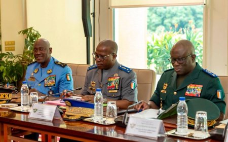 Côte d’Ivoire : plus de 800 sites d’orpaillage clandestins démantelés et 4 474 personnes interpellées (CNS)