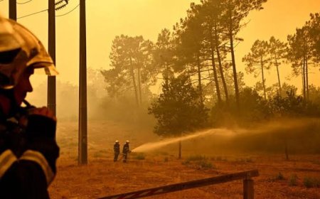 France : 1 400 sapeurs-pompiers, 1 500 militaires et 1 700 forces de sécurité mobilisés contre les incendies, la situation toujours critique