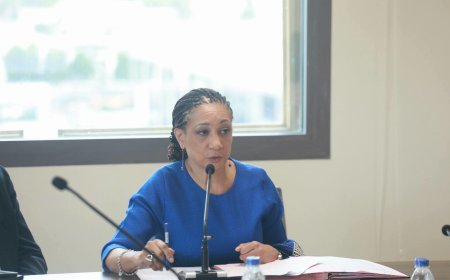 Côte d'Ivoire : le gouvernement lance la réforme du système de licence pour professionnaliser le secteur des spectacles vivants