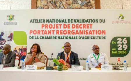 Côte d'Ivoire : les acteurs du secteur agricole réfléchissent sur une réforme de la Chambre nationale d'Agriculture à Yamoussoukro
