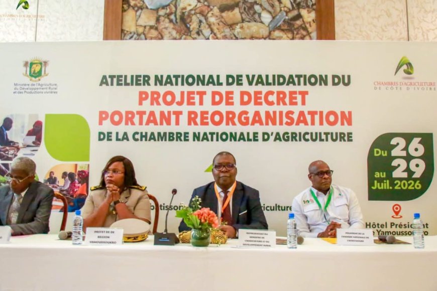 Côte d'Ivoire : les acteurs du secteur agricole réfléchissent sur une réforme de la Chambre nationale d'Agriculture à Yamoussoukro