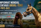 Les Pays-Bas accueillent le Championnat mondial des chevaux Akhal-Teke en septembre