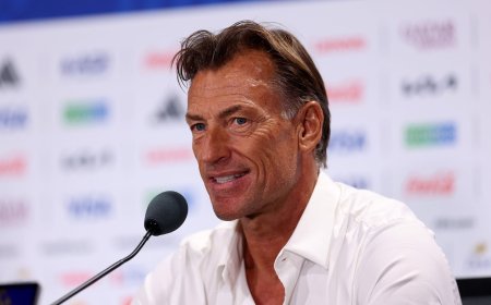 Côte d’Ivoire : Hervé Renard remplace Emerse Faé à la tête des Éléphants(officiel)